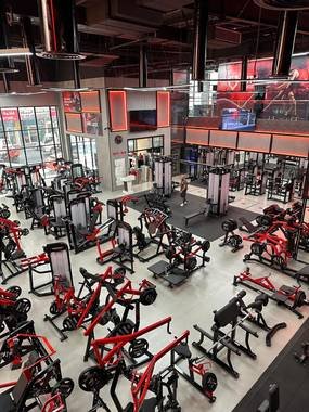 Bolous Gym